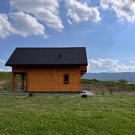 Gospodarstwo Agroturystyczne Bieszczadzki Bliźniak Baligród Zewnętrze zdjęcie